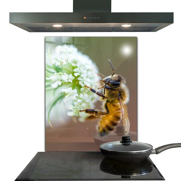 Crédence cuisine en verre Abeille collectant du pollen