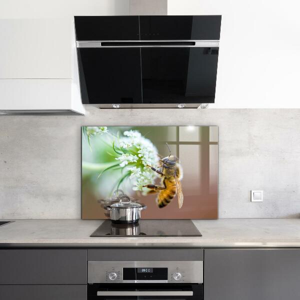 Crédence cuisine en verre Abeille collectant du pollen
