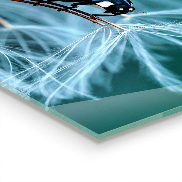 Crédence cuisine en verre Coccinelle rouge