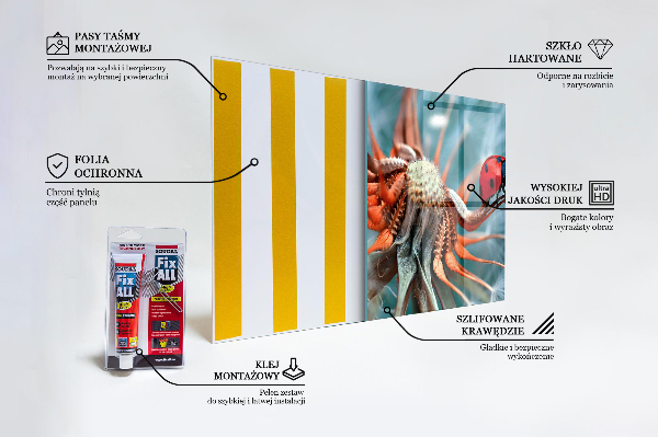 Crédence cuisine en verre Coccinelle rouge