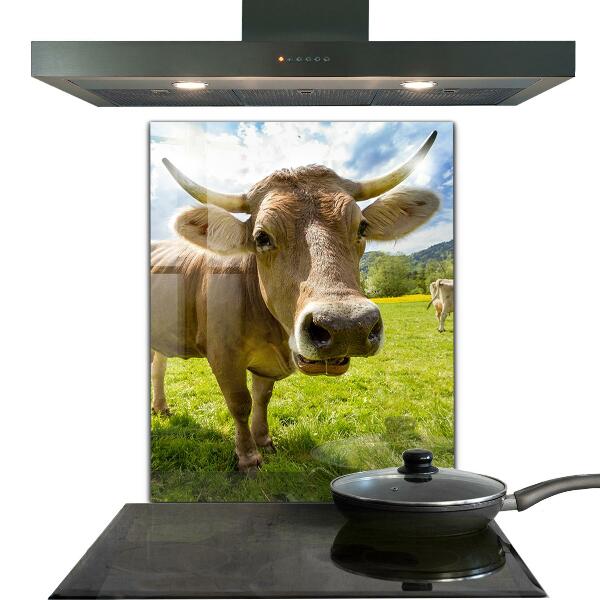 Crédence cuisine en verre Climat rural krowa pole