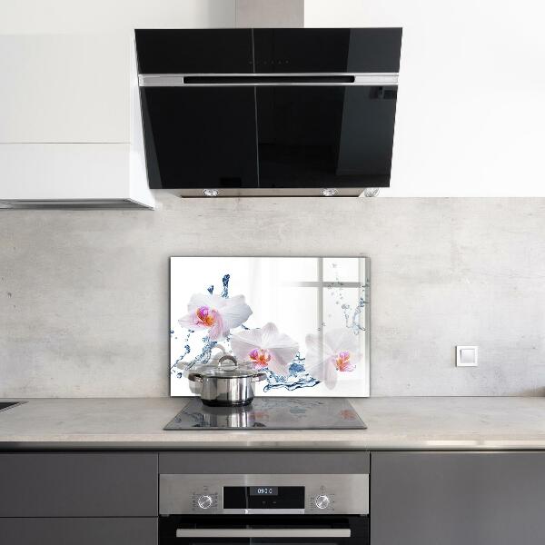 Verre pour crédence Orchidée arrosée d'eau