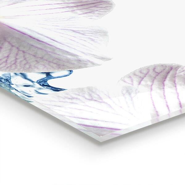 Verre pour crédence Orchidée arrosée d'eau