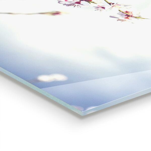 Verre pour crédence Fleurs roses délicates