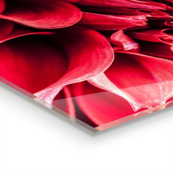 Verre pour crédence Pouvoir floral énergétique de la nature