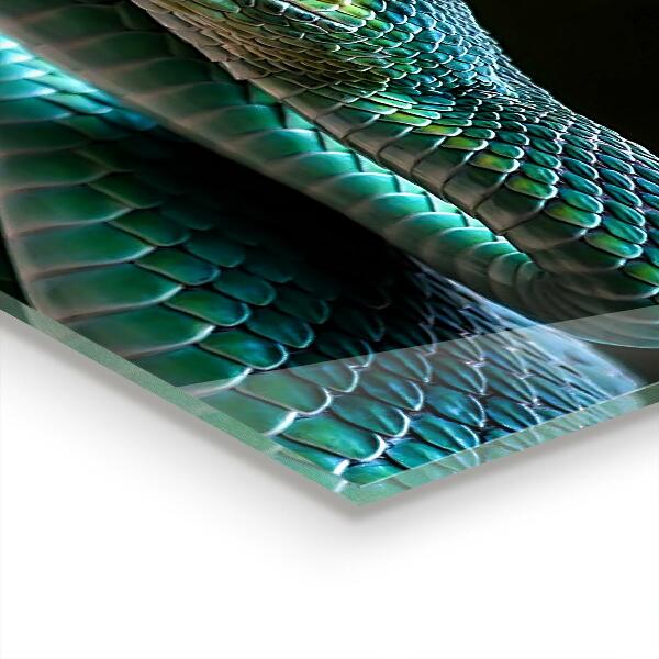 Crédence cuisine en verre La faune des serpents