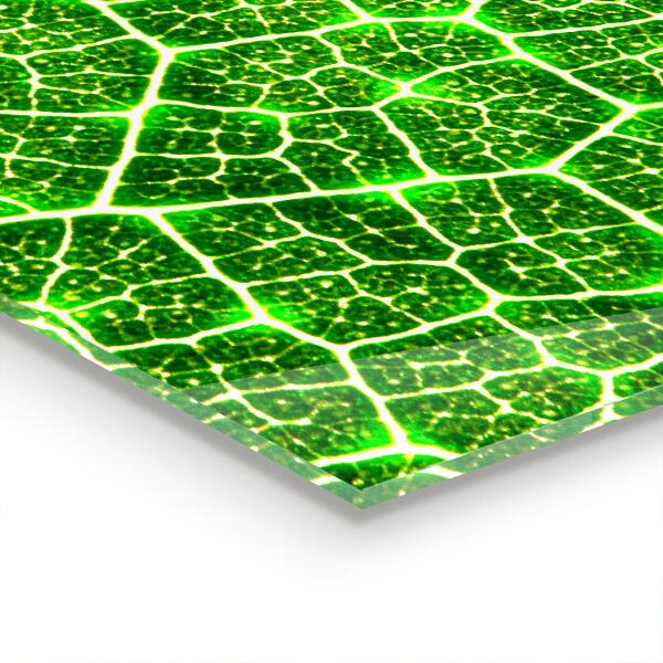 Verre pour crédence Le pouvoir de la botanique verte