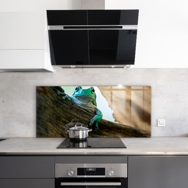 Crédence cuisine en verre Portrait de grenouille africaine