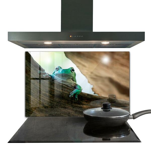 Crédence cuisine en verre Portrait de grenouille africaine