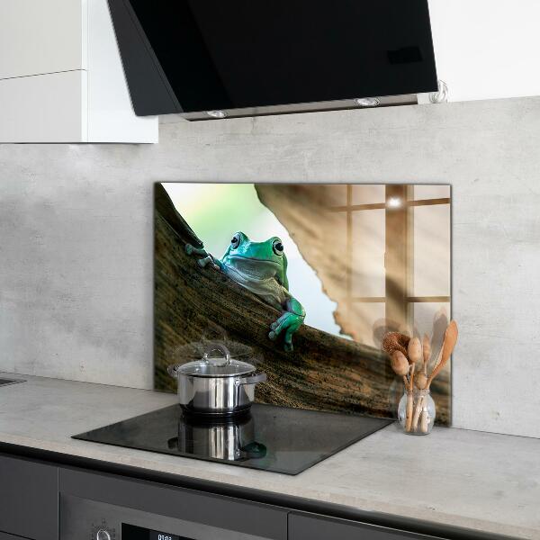 Crédence cuisine en verre Portrait de grenouille africaine