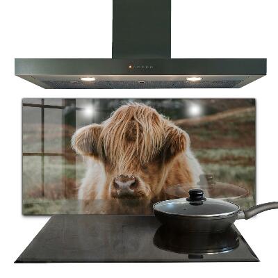 Crédence cuisine en verre Vache de style cottage des highlands