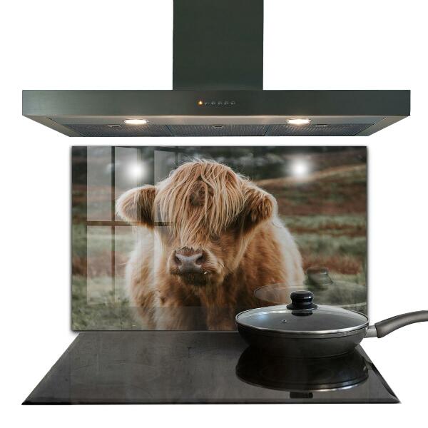 Crédence cuisine en verre Vache de style cottage des highlands