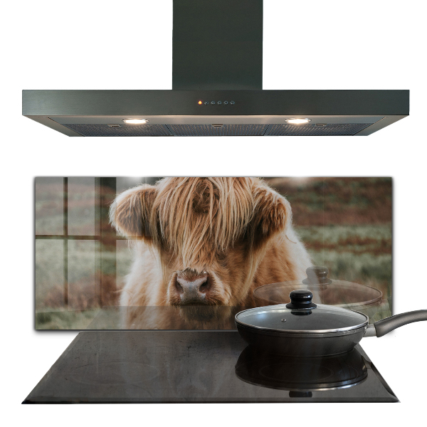 Crédence cuisine en verre Vache de style cottage des highlands