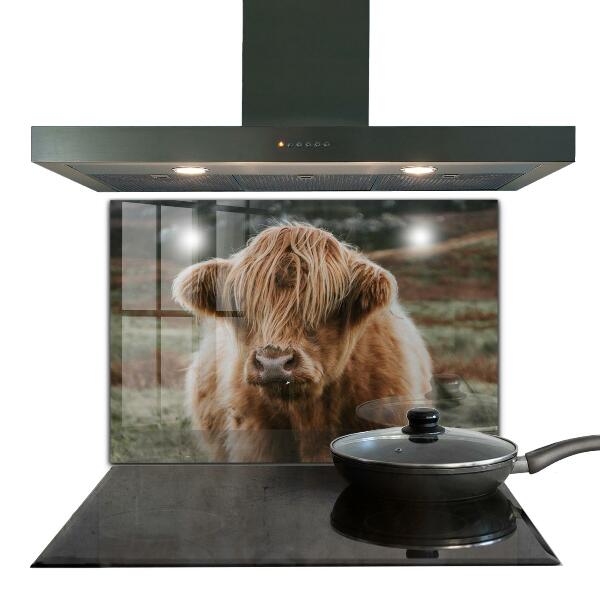 Crédence cuisine en verre Vache de style cottage des highlands