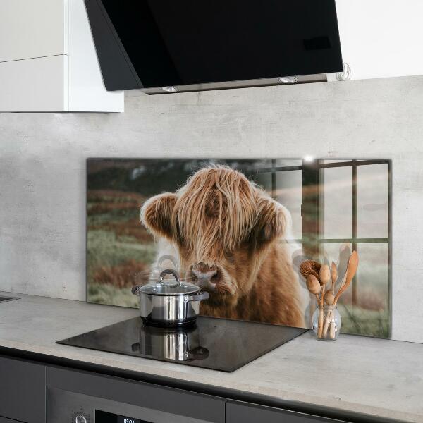 Crédence cuisine en verre Vache de style cottage des highlands