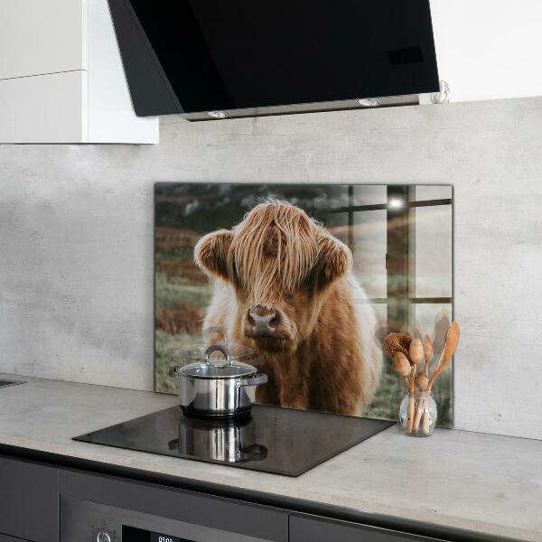 Crédence cuisine en verre Vache de style cottage des highlands