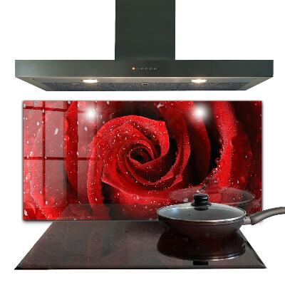 Crédence cuisine en verre Gouttes de rosée sur une rose rouge