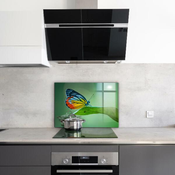 Crédence cuisine en verre Papillon posé sur une feuille