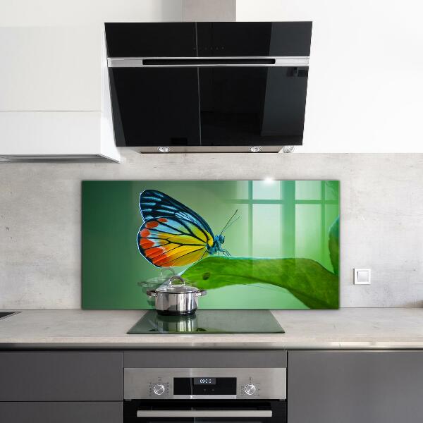 Crédence cuisine en verre Papillon posé sur une feuille