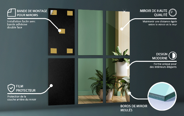 Carreaux miroir à coller 6 pce 30x20 cm