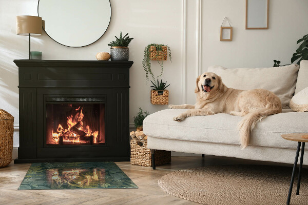 Rectangulaire plaque verre pour poêle Motifs végétaux avec des papillons