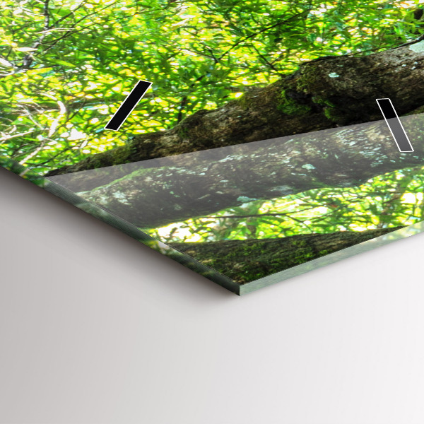 Horloge rectangulaire verticale Cascade dans la forêt