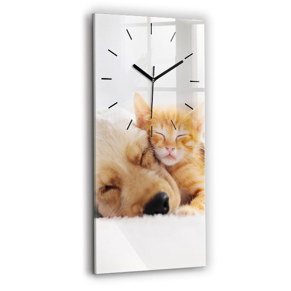 Horloge murale verticale Chat et chien endormis