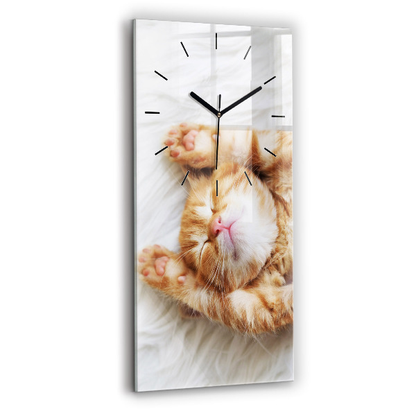 Horloge rectangulaire verticale Petit chaton endormi