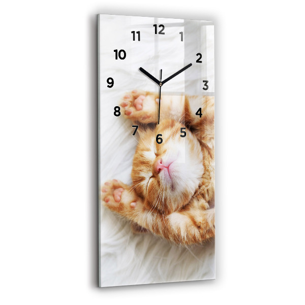 Horloge rectangulaire verticale Petit chaton endormi