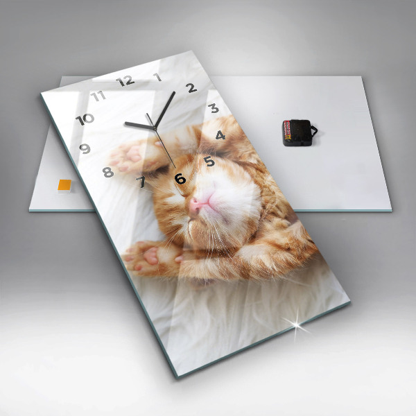 Horloge rectangulaire verticale Petit chaton endormi