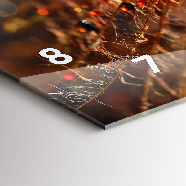 Horloge rectangulaire horizontale Pissenlit avec rosée