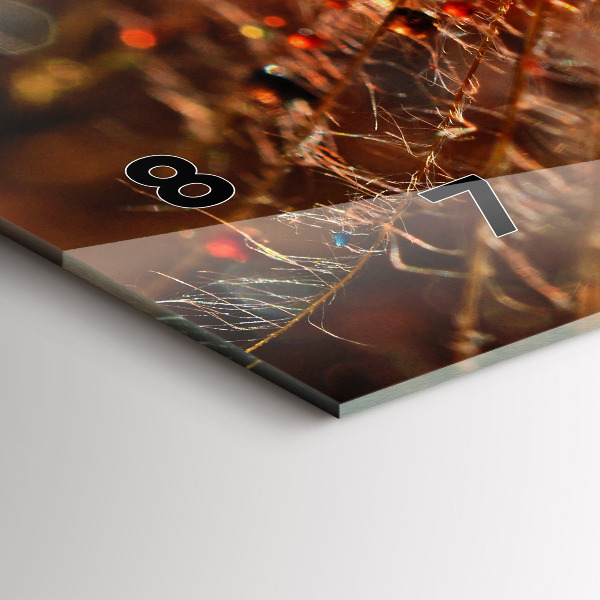 Horloge rectangulaire horizontale Pissenlit avec rosée