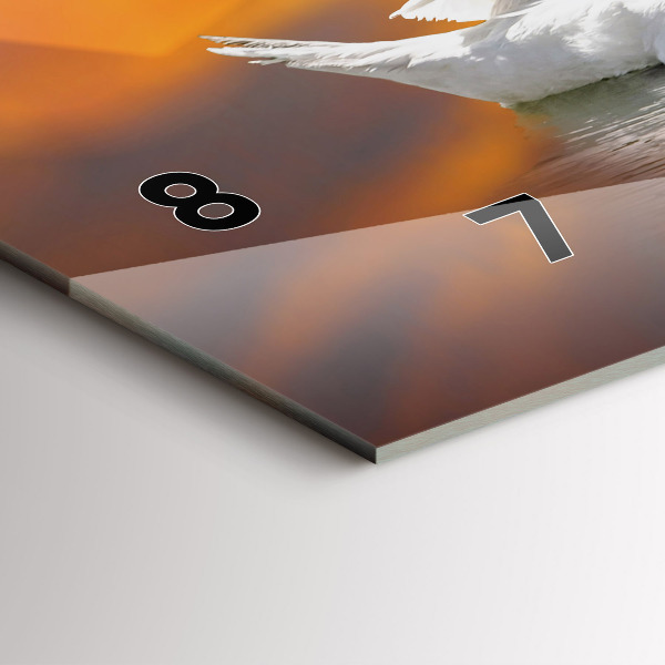 Horloge murale horizontale Cygnes amoureux