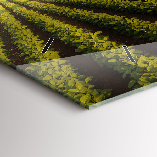 Horloge murale horizontale Tracteur pulvérisant un champ