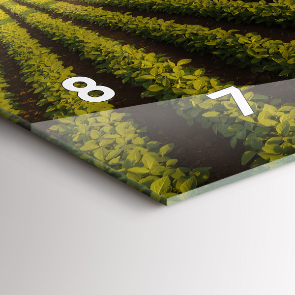 Horloge murale horizontale Tracteur pulvérisant un champ