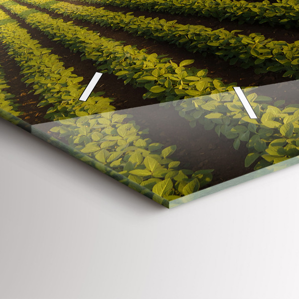 Horloge murale horizontale Tracteur pulvérisant un champ