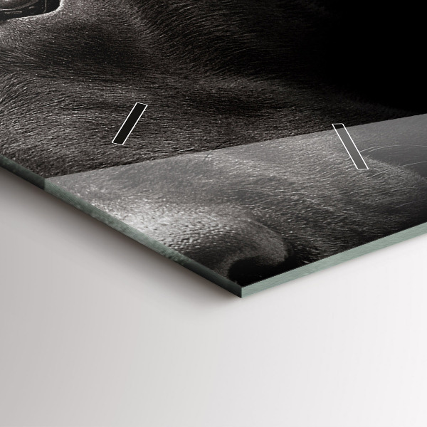 Horloge rectangulaire horizontale Chien et chat Scottish Fold