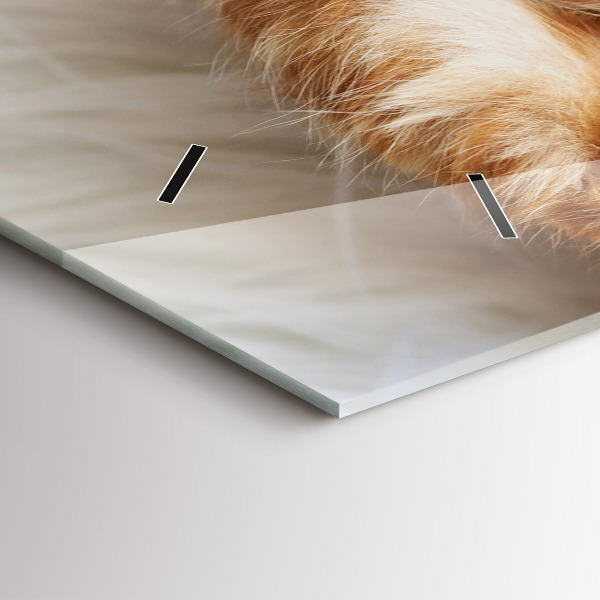 Horloge rectangulaire horizontale Petit chaton endormi