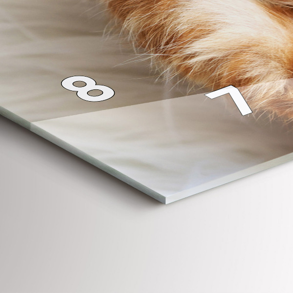 Horloge rectangulaire horizontale Petit chaton endormi