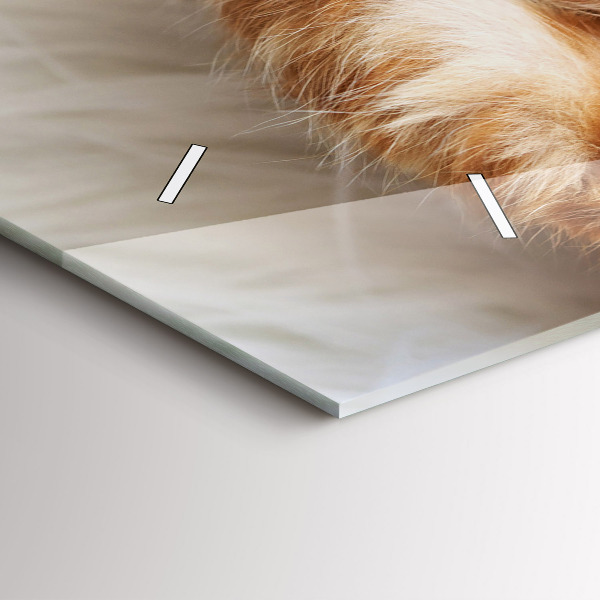 Horloge rectangulaire horizontale Petit chaton endormi