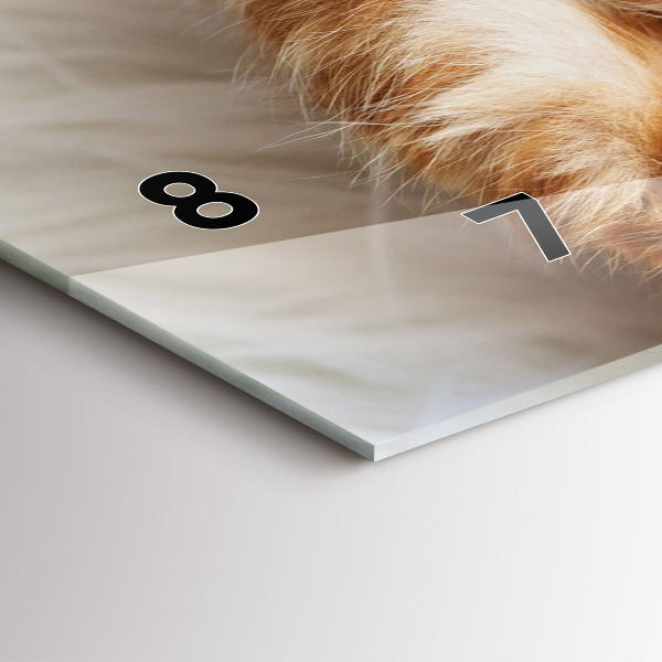 Horloge rectangulaire horizontale Petit chaton endormi