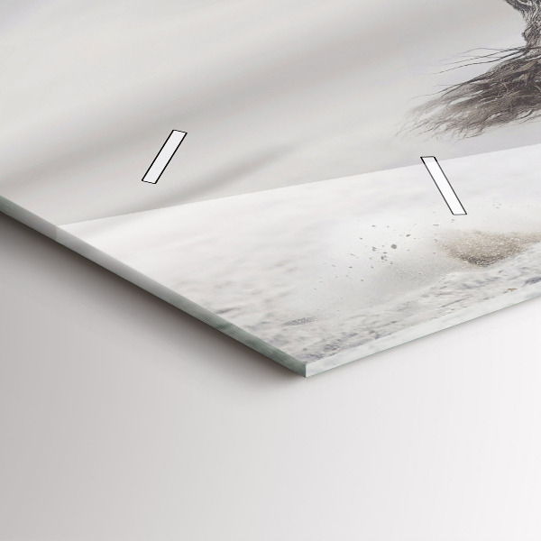 Horloge rectangulaire horizontale Cheval blanc au galop