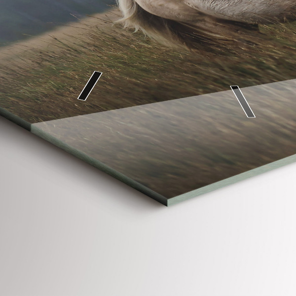 Horloge murale horizontale Chevaux au galop