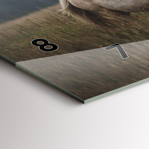 Horloge murale horizontale Chevaux au galop