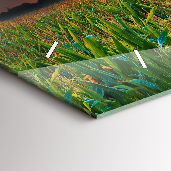 Horloge murale horizontale Tournesols dans le pré