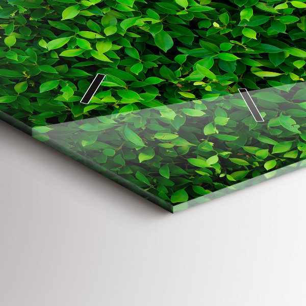 Horloge murale horizontale feuilles de haie