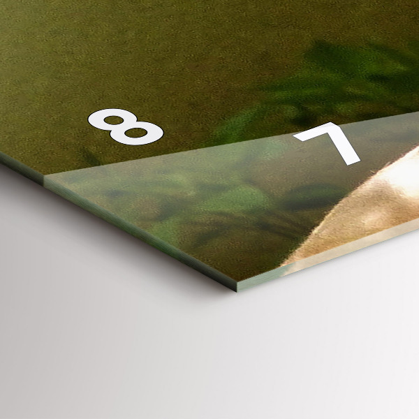 Horloge murale horizontale 'Portrait d''un lion'