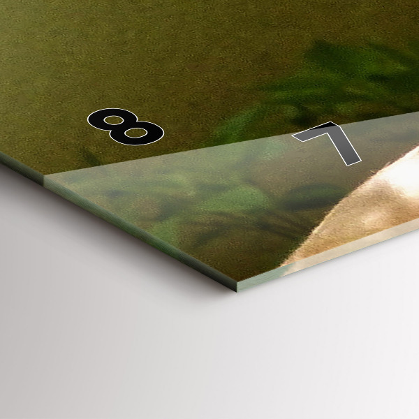 Horloge murale horizontale 'Portrait d''un lion'