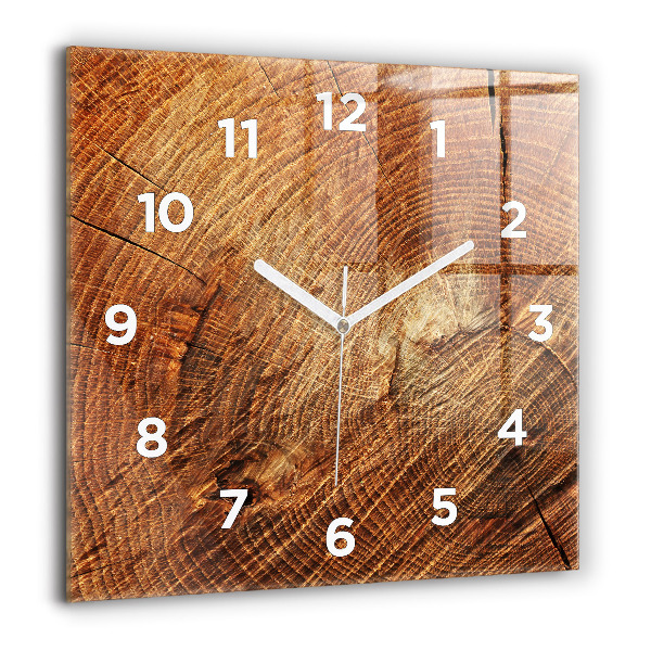Horloge murale carrée 'Vieille souche d''arbre'