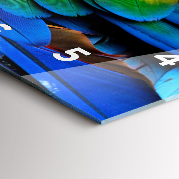 Pendule carrée en verre 'Ailes d''oiseaux colorées'